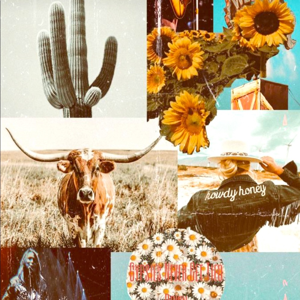 Check out my Curtsy!